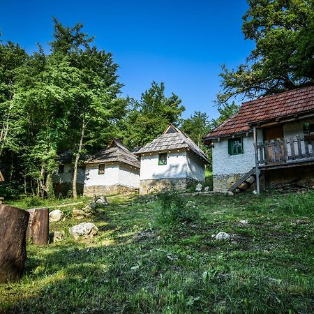 Camp Divlja Rijeka Hotel Hum Eksteriør billede