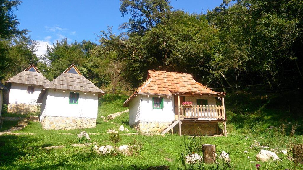 Camp Divlja Rijeka Hotel Hum Eksteriør billede